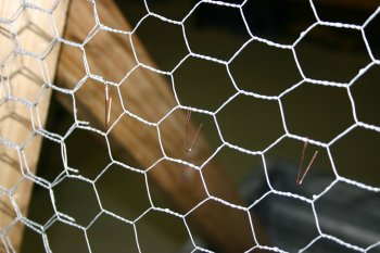 Web_Img_0779.jpg