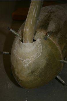Web_Img_9383.jpg